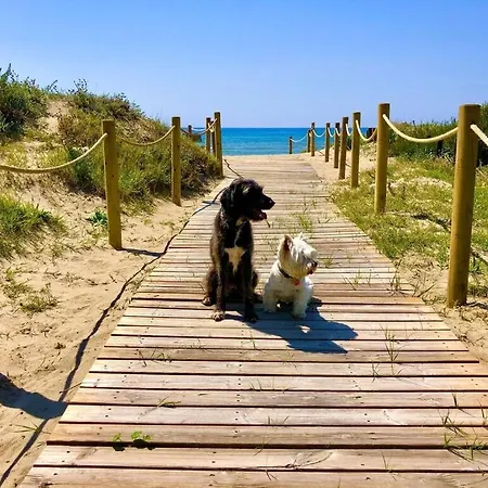 Front In With Amazing Sea Views Semidetached Вилла *